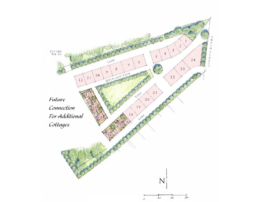 Lew Oliver Inc. downtown site plan for Trillium Downtown — showing homes, lanes, green space, and future cottage connections